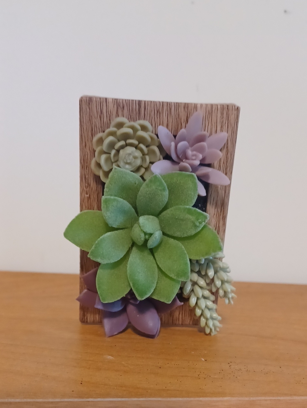 Bath & Body Works Succlent Wallflower Plug